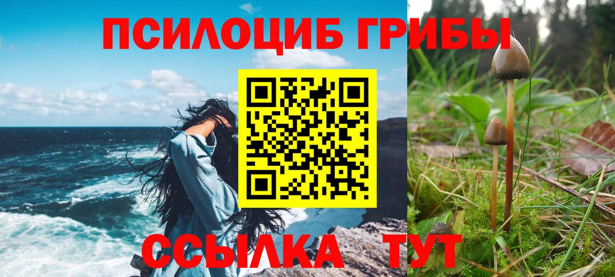 Псилоцибиновые грибы MAGIC MUSHROOMS Михайловка