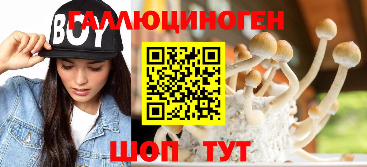 Псилоцибиновые грибы Cubensis  Галлюциногенные грибы прущие грибы  Вход с VPN  Михайловка 