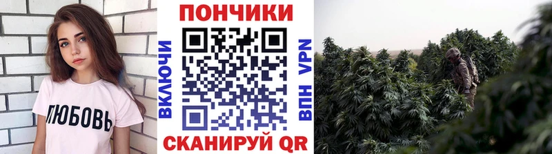 Каннабис ГИДРОПОН Михайловка